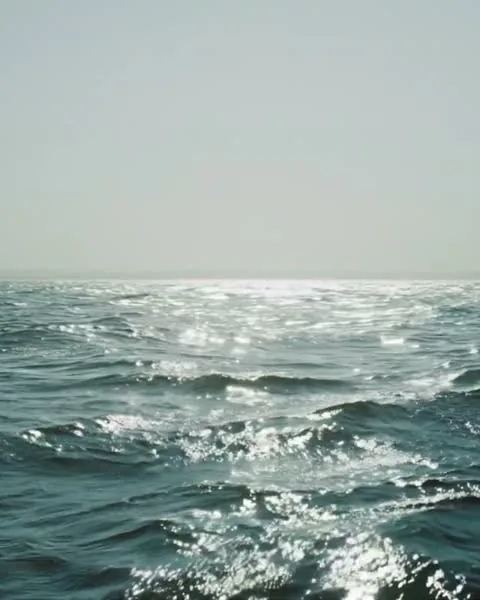 NNZN is Dead, il mare